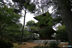豪徳寺