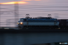 朝の多摩川