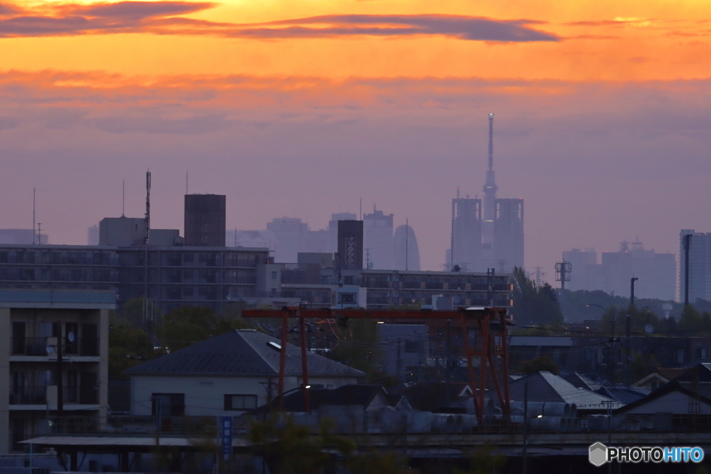 朝の多摩川