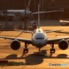 HANEDA