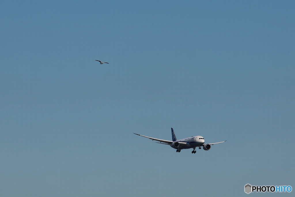 HANEDA