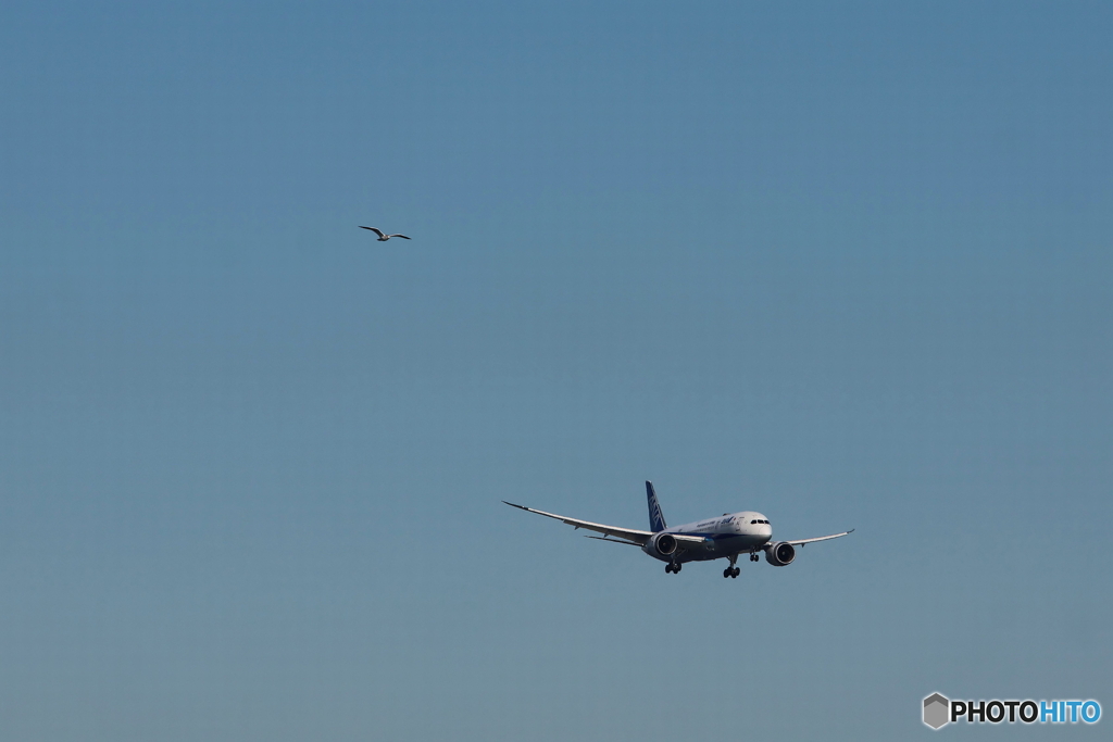 HANEDA