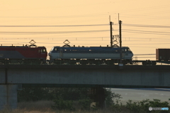 朝の多摩川