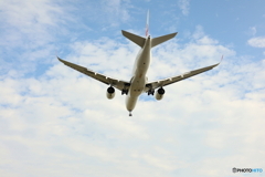 HANEDA