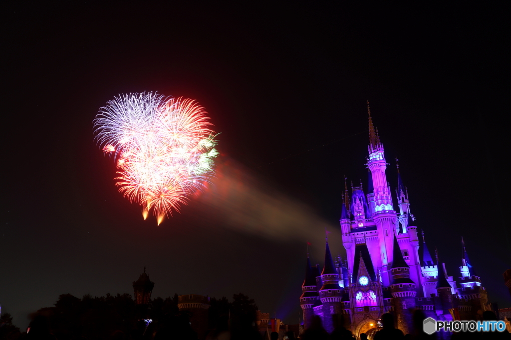 ディズニーリゾート