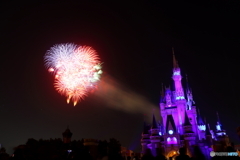 ディズニーリゾート