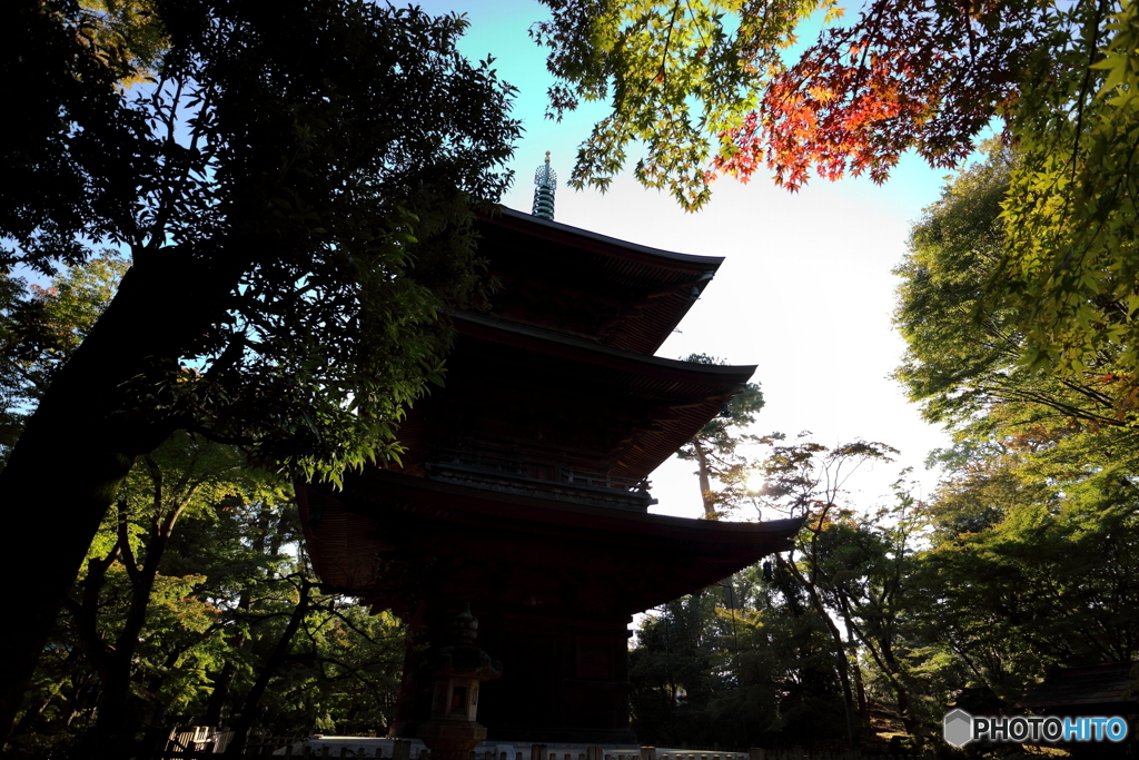 プチ紅葉