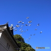 街並み