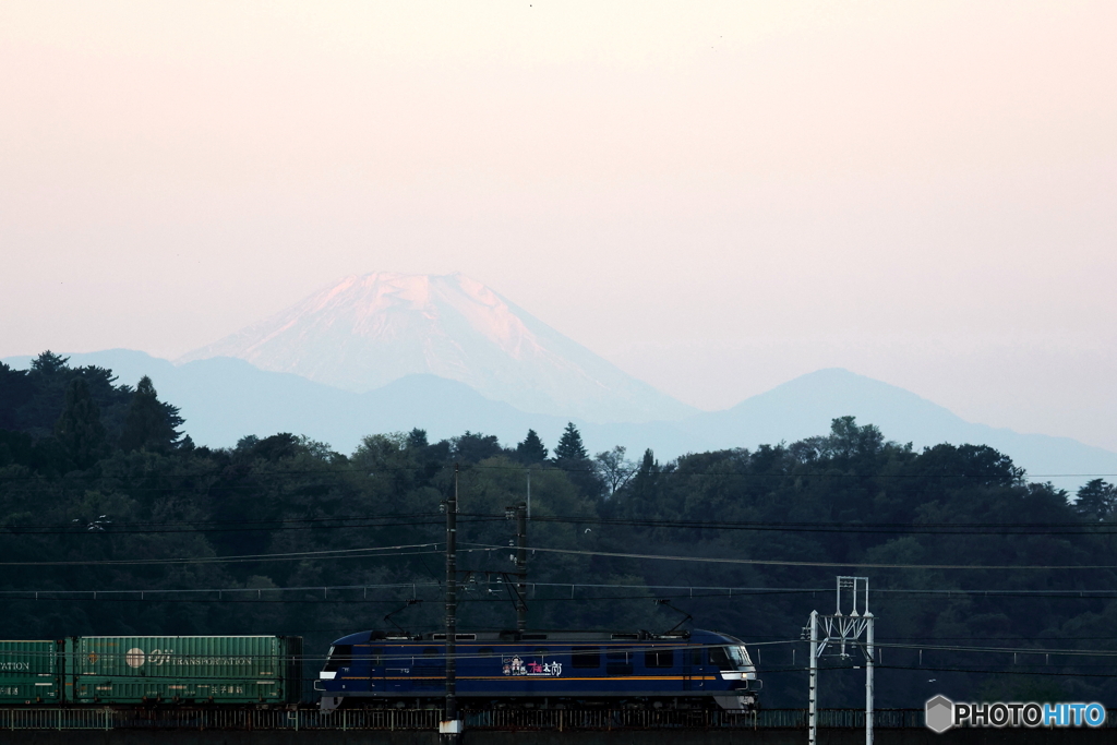 朝の多摩川