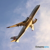 HANEDA