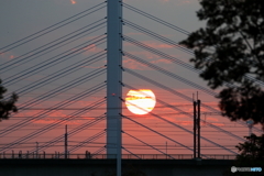 朝の多摩川