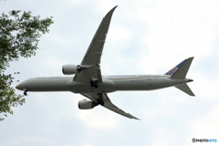 HANEDA
