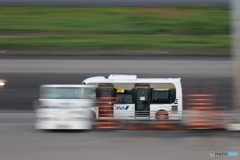HANEDA