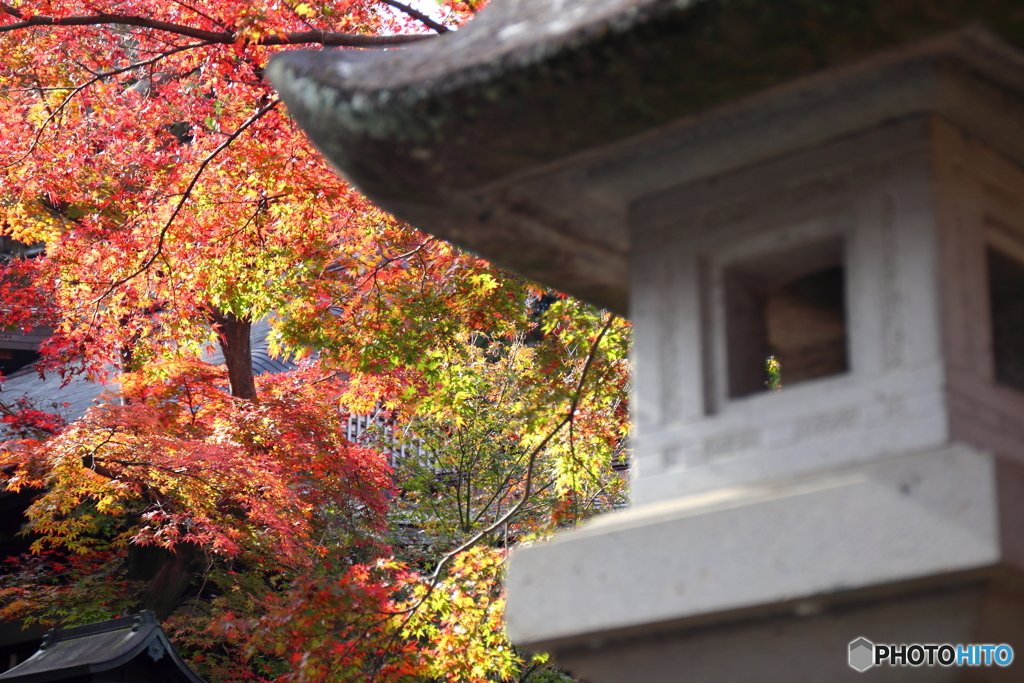 高幡不動尊