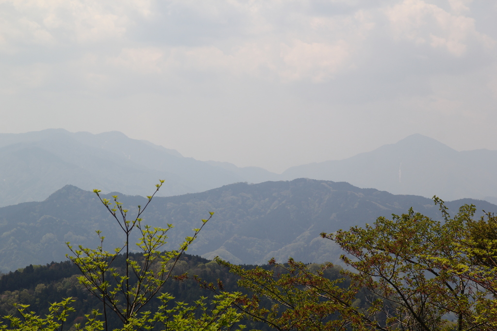 高尾山散策