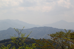 高尾山散策