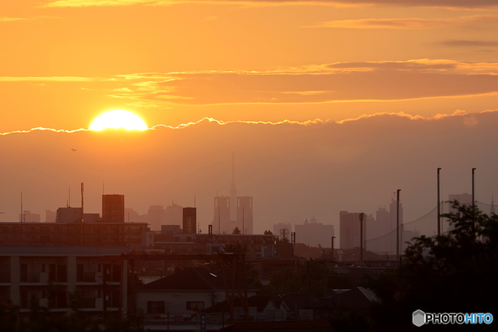 朝の多摩川