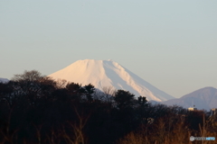 朝の多摩川　