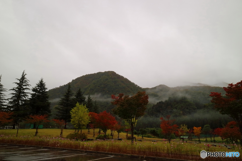 朝の風景