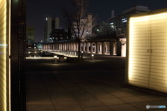 横浜夜景