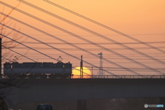 朝の多摩川