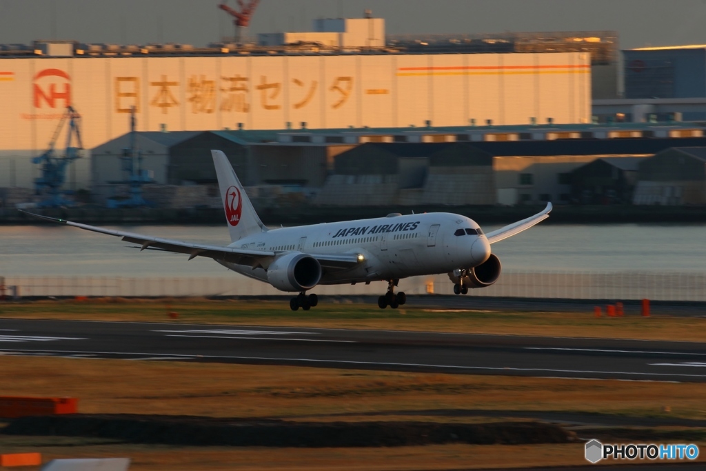 HANEDA