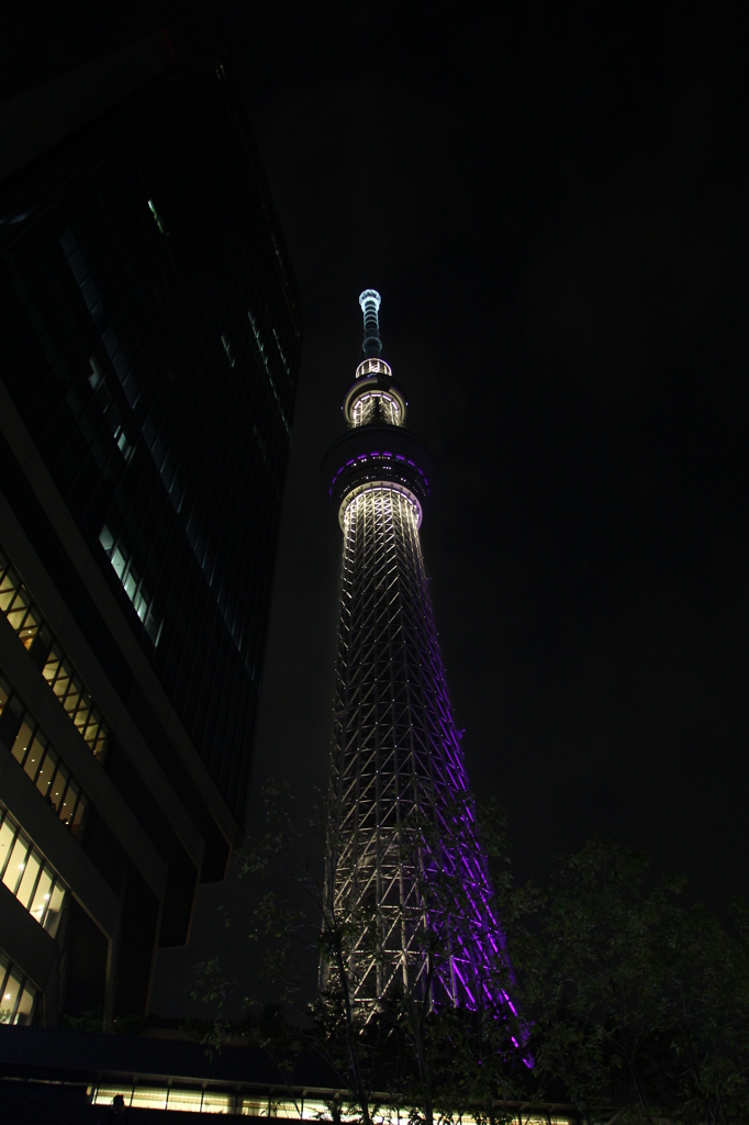 建造物