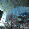 HANEDA　