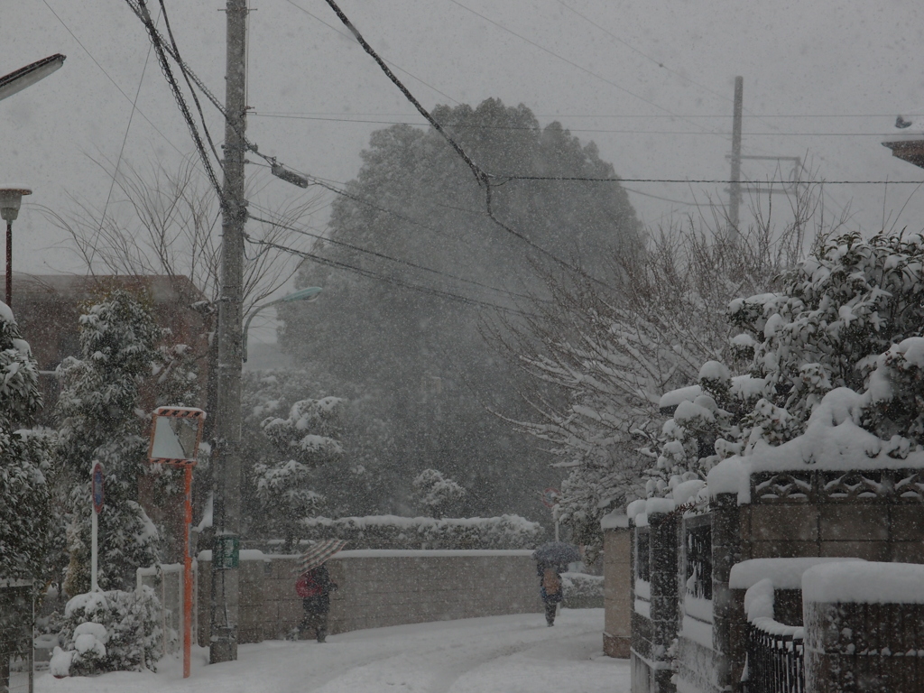 雪
