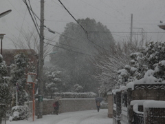 雪
