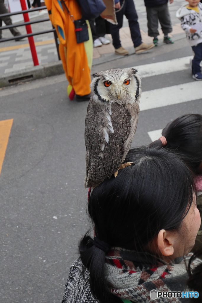 街並み