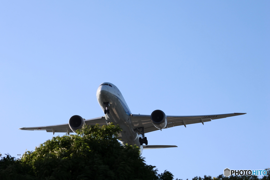 HANEDA