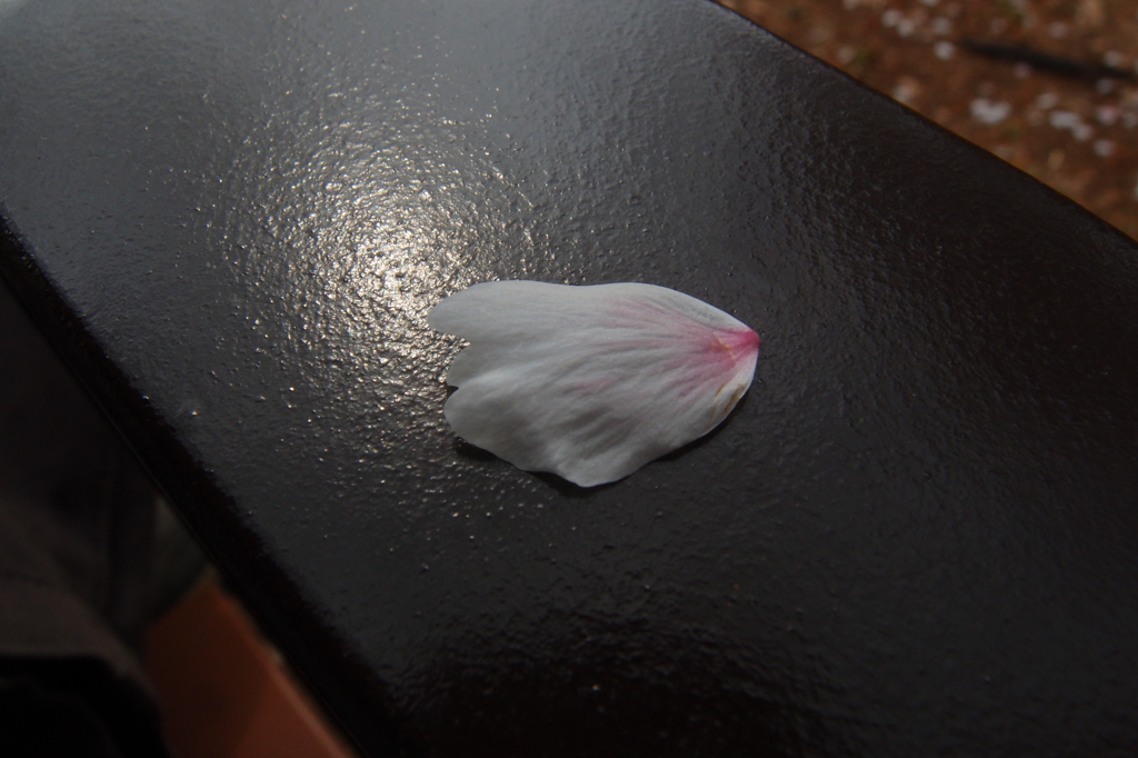 お疲れ様でした。