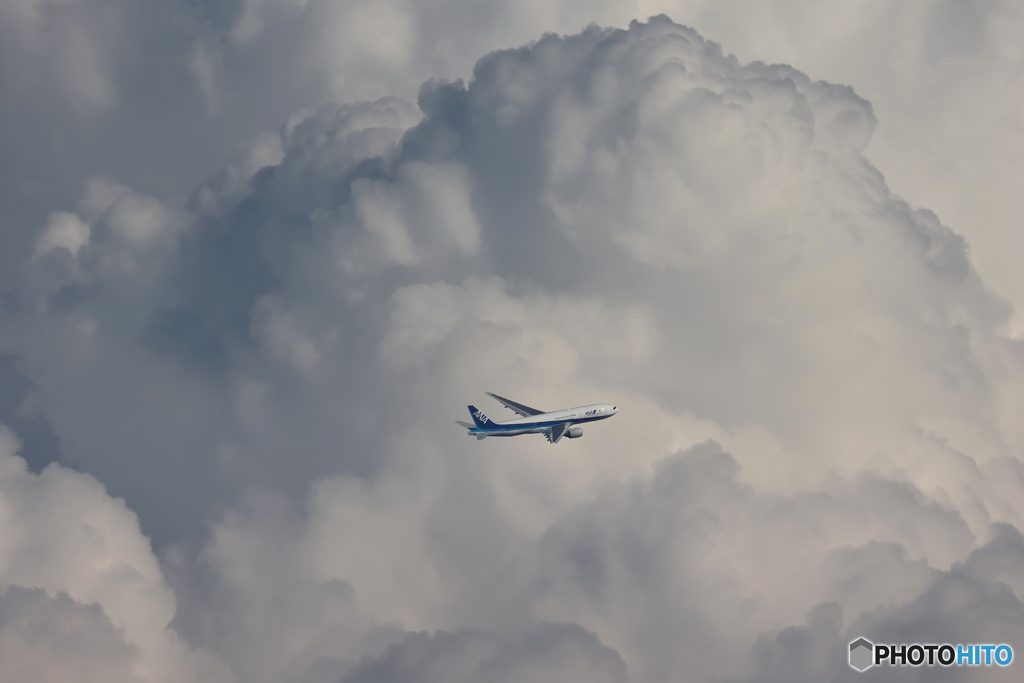 HANEDA