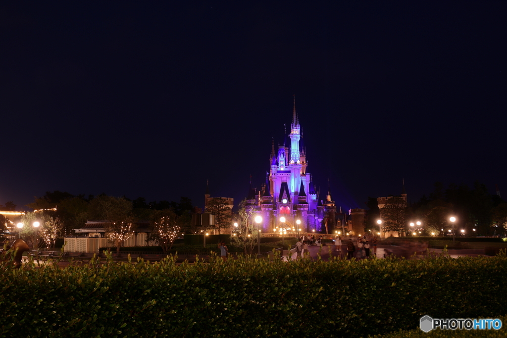 ディズニーリゾート