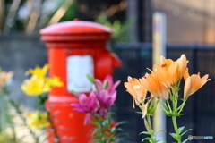 街の花