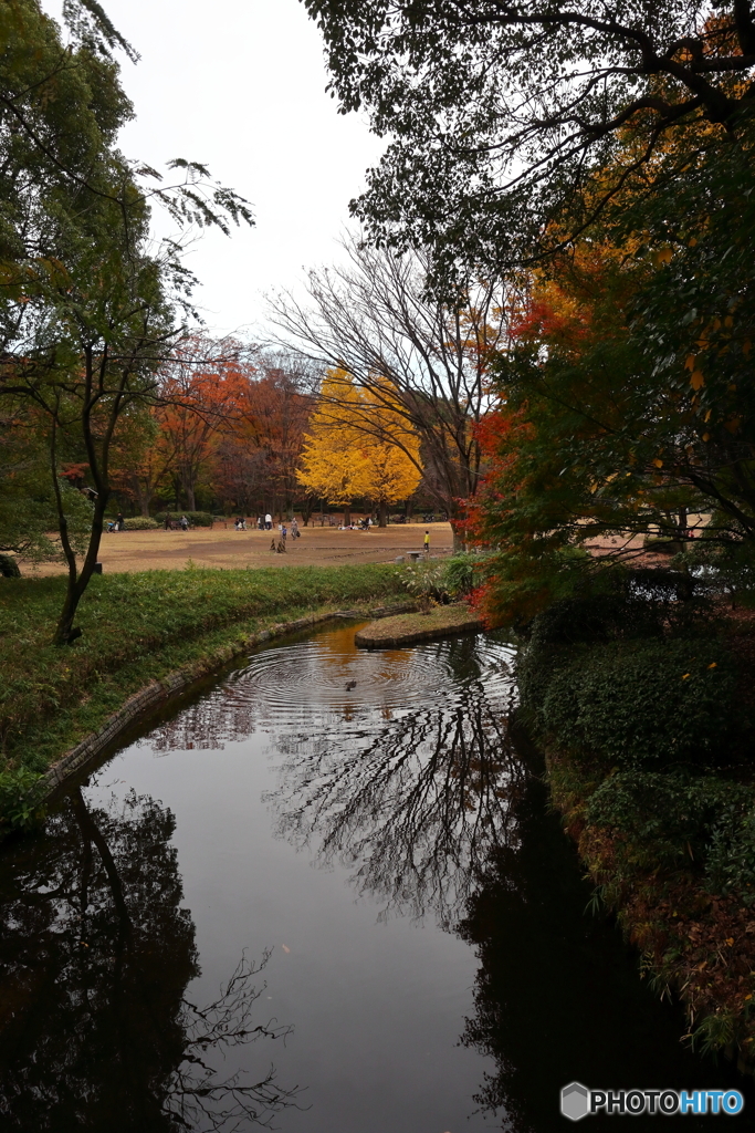 北の丸公園