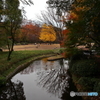 北の丸公園