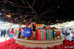 ディズニーリゾート