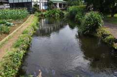 忍野八海