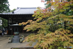 豪徳寺