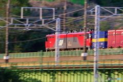 朝の多摩川