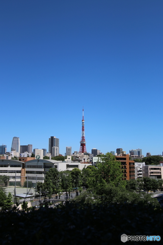 青い空