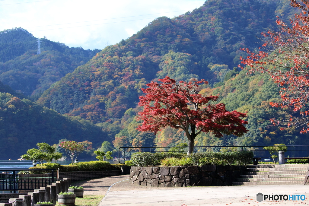 相模湖