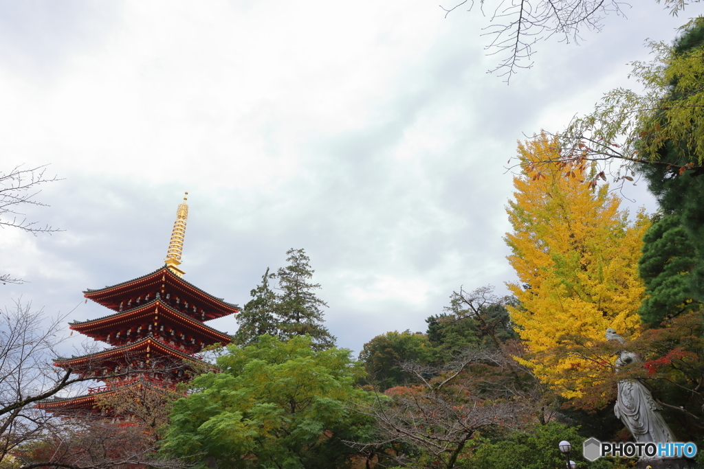 高幡不動尊