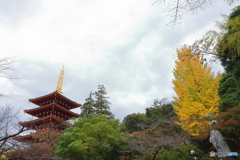 高幡不動尊