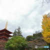 高幡不動尊
