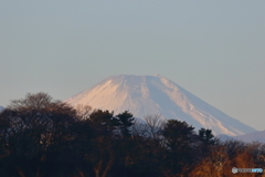 初冨士山