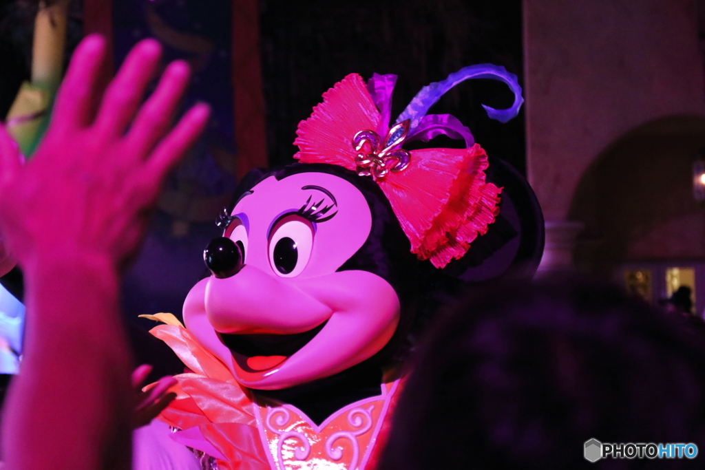 ディズニーリゾート