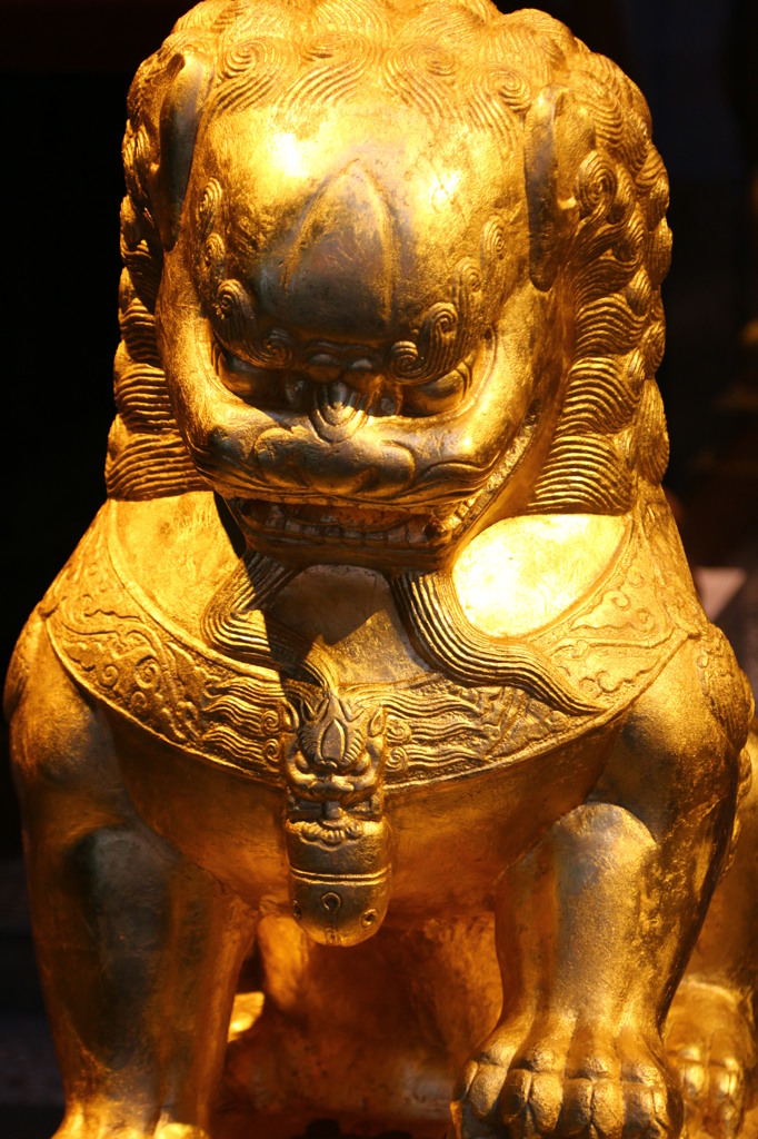黄金の獅子 by H50 （ID：4492312） - 写真共有サイト:PHOTOHITO